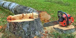 Best Firewood Processing and Delivery  in Rpinteria, CA